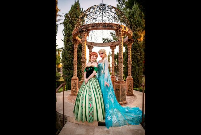 Snow Sisters - Fair Maidens & Masks Character