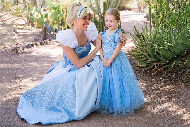 Cinderella - Fair Maidens & Masks Character