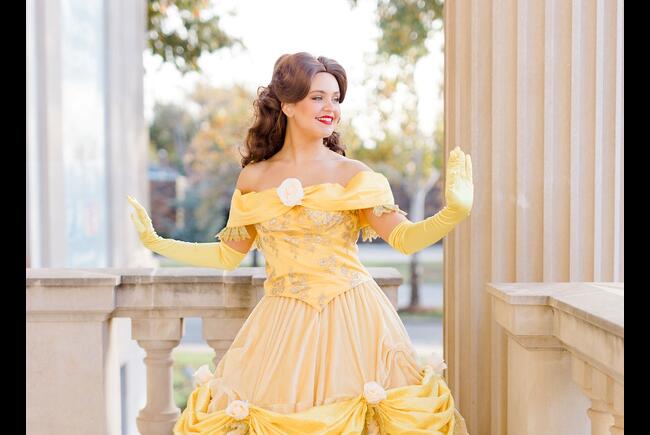 Beauty Princess - Fair Maidens & Masks Character